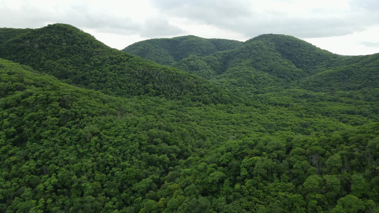 imágenes aéreas inversas de exuberantes montañas verdes cubiertas de árboles, revelando una selva tropical, saraburi, tailandia