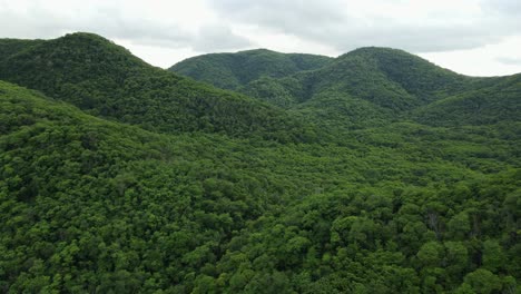 aerial reverse footage of a lush green mountains covered with trees, revealing a rainforest, saraburi, thailand