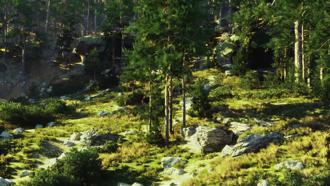 Lush green landscape with towering trees and rocky terrain in daylight