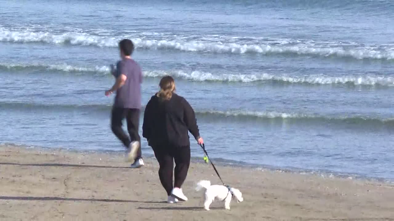 People at the beach enjoying the outdoors