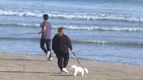 people at the beach enjoying the outdoors
