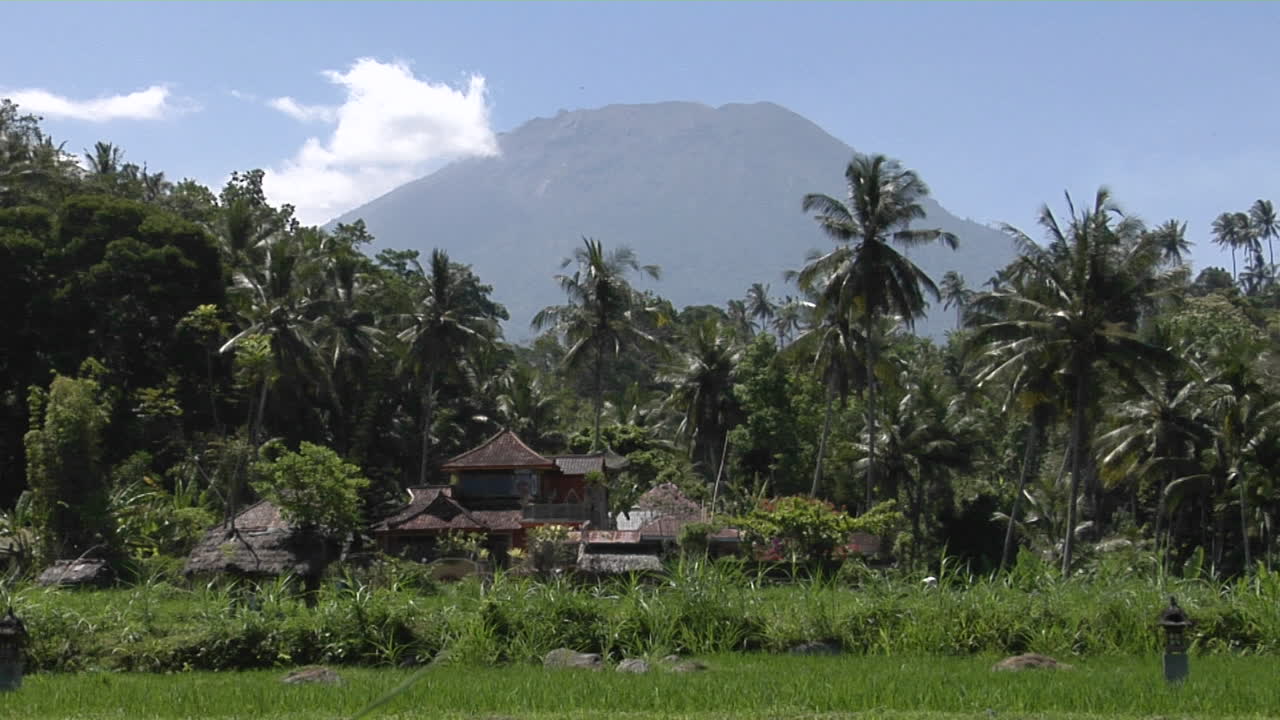 나무 구조는 열대 풍경에 앉아