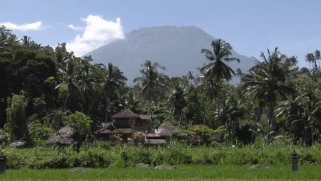 a wood structure sits in a tropical landscape