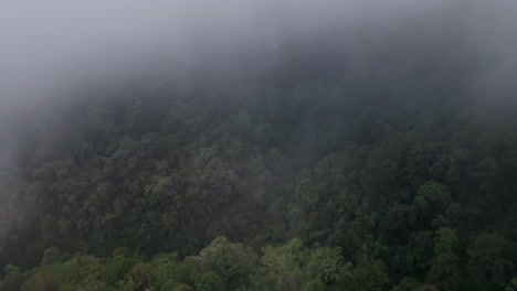 drone exiting clouds to reveal rainforest jungle landscape background texture cloudy weather in sumbawa island, indonesia