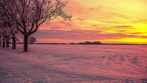 timelapse cinematográfico del cielo del atardecer a través del paisaje invernal