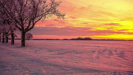 cinematic timelapse of sunset sky through winter landscape