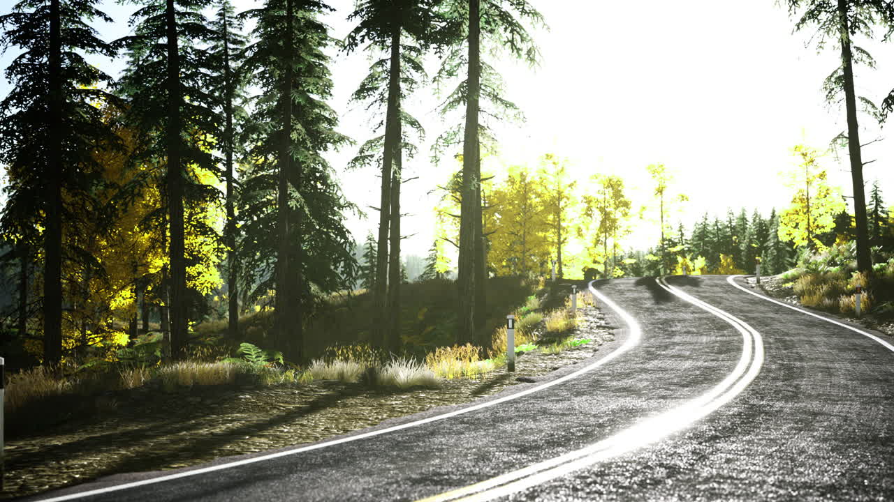 Curvy road through vibrant autumn landscape with golden light in the forest