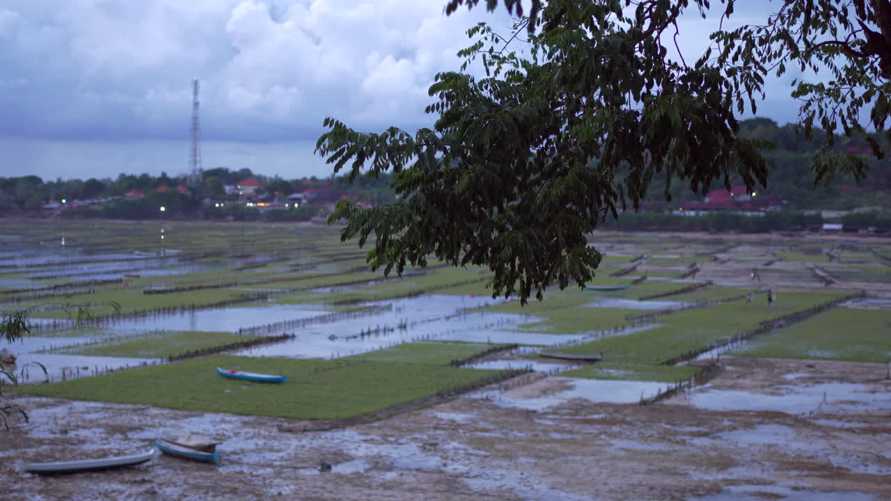 인도네시아의 해조류 플랜테이션 습지 필드의 파노라마 뷰