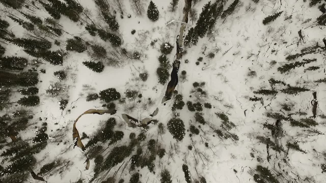 vista aérea del bosque de invierno