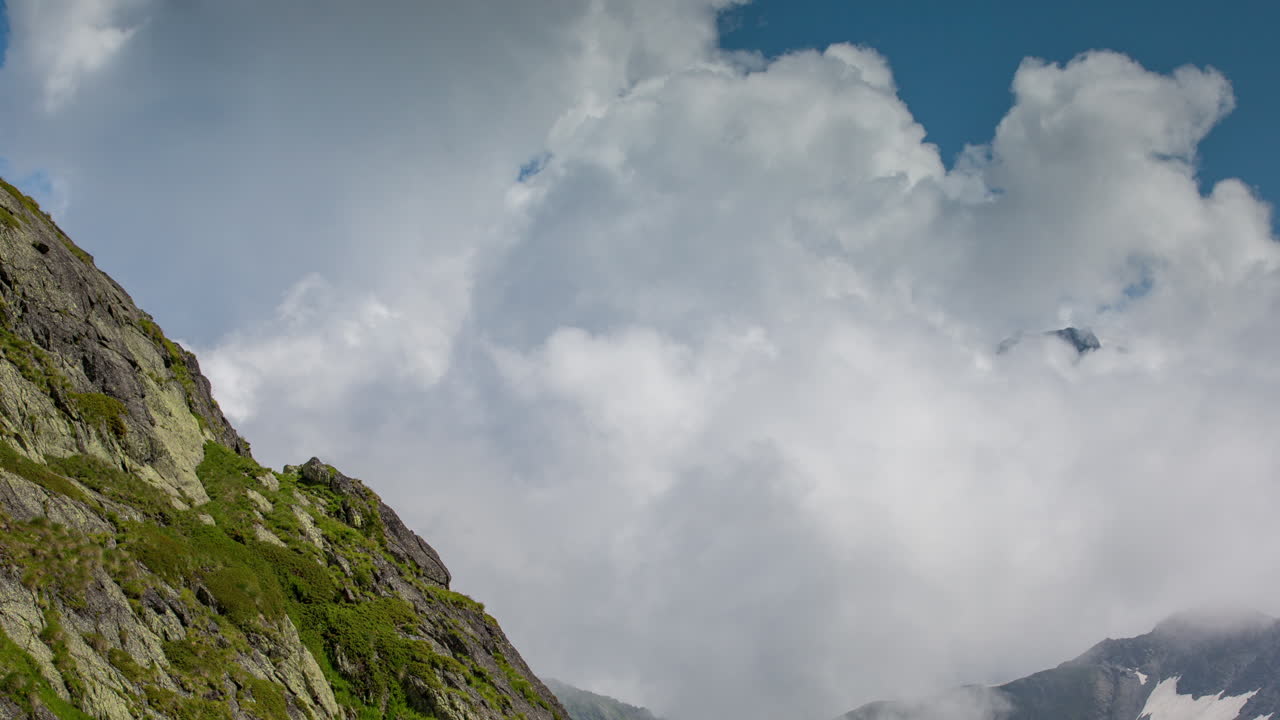 세인트 버나드 뷰 4k 00