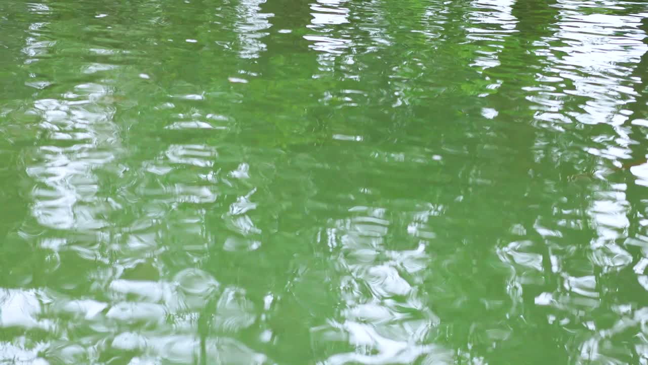 평온한 강 표면의 부드러운 파동