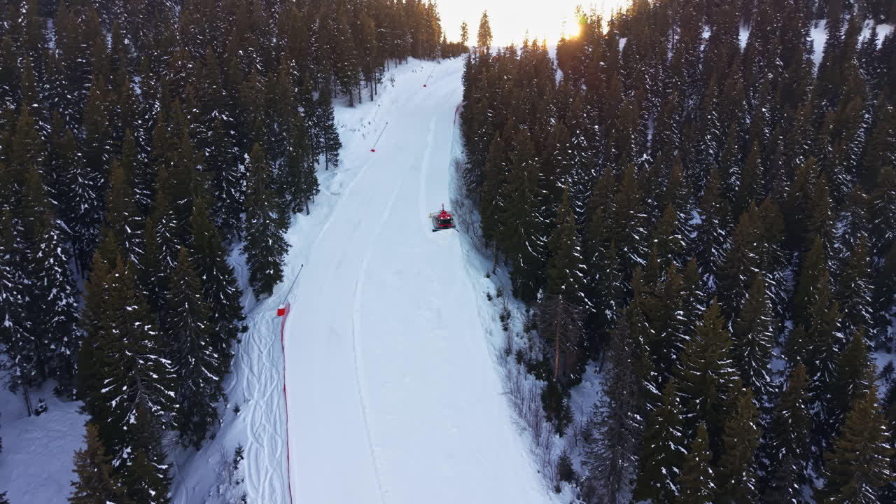 Battipista che prepara una pista da sci in una foresta di montagna al tramonto.
