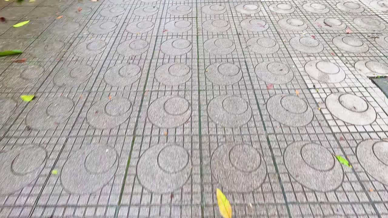 잎 은 무 가 있는 돌 의 보행자 길 에 어져 있다