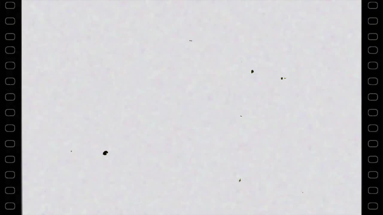 Authentic vintage 8mm or 16mm film frame with sprocket holes, dust, scratches, and hair. Use as overlay for retro or historical look