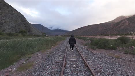 a person walks on train tracks in arid area