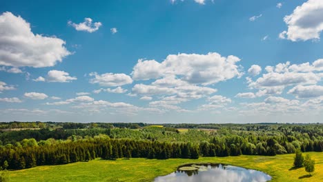 Flug-über-Blühende-Löwenzahnfelder-Im-Frühling