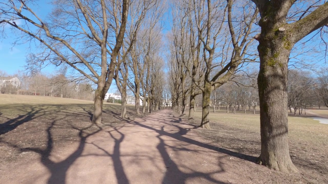 Walking along a tree-lined alley with long shadows in Frognerparken, Oslo