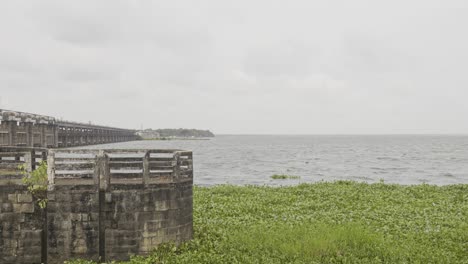 the african rivermoss , tanneermukkam bund,embankment and moss , salvinia molesta