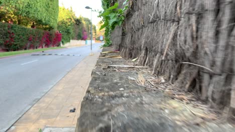 small-animal-perspective-walking-over-top-of-wall,-cat,-rat,-squirrel-perspective-interesting-different-angle