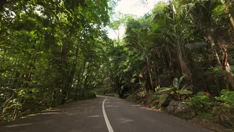 Driving-through-the-national-park-road,-dense-forest,-lush-vegetation-on-Mahe-island,-Seychelles-60-fps