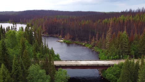 drone view of a bridge road surrounded by a forestscape