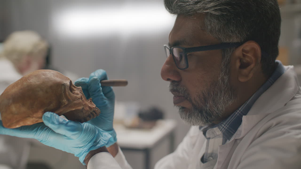 Archaeologist Inspecting Skull with Probe during Laboratory Research