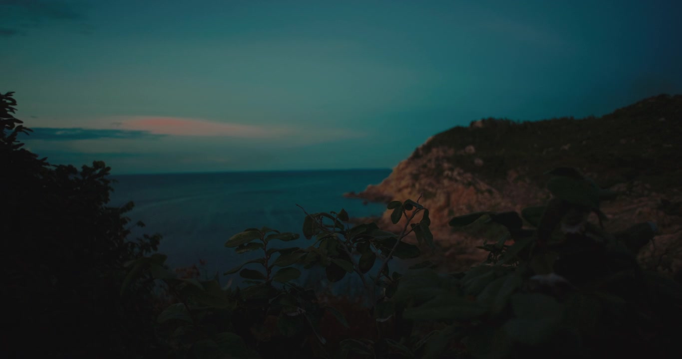 Paesaggio costiero al crepuscolo con vista sul mare attraverso il fogliame degli alberi durante una sera d'estate