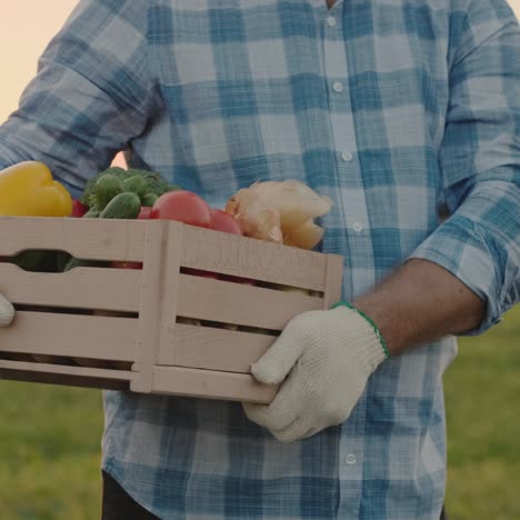 a farmer carries a box of fresh vegetables from his field 6