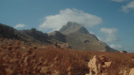 Wide-shot-of-mountain-and-blue-sky-with-light-clouds-with-goat-and-arid-vegetation-in-foreground