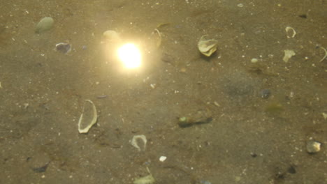 sun reflection in shallow sea water