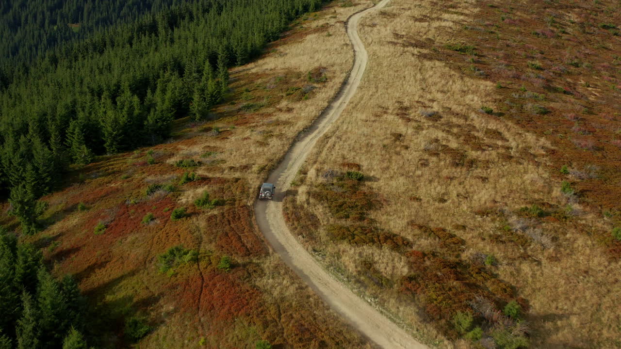 vista aérea del coche en la montaña en un pequeño camino rocoso entre los árboles de secuoya verde