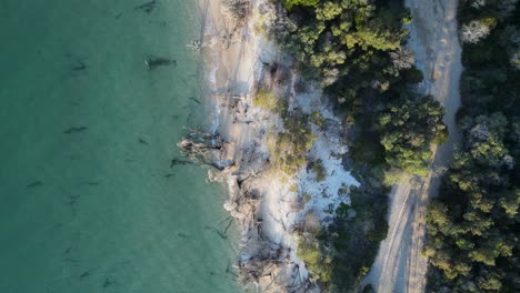 4wd track next to a pristine lake leading into a coastal vegetated bushland