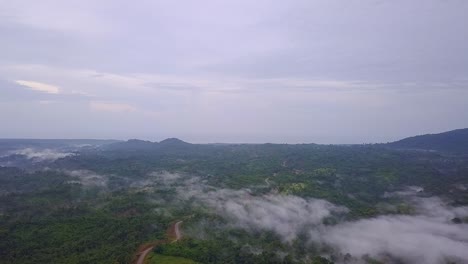 Aerial-view-of-the-road-through-the-jungle