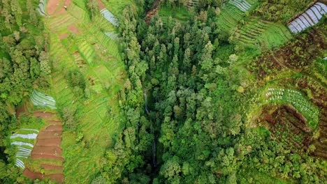 Drone-video-of-valley-on-the-slope-of-mountain-with-hidden-waterfall---Vegetation-of-tropical-rural-landscape