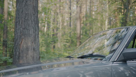 friends enjoying a road trip in the forest