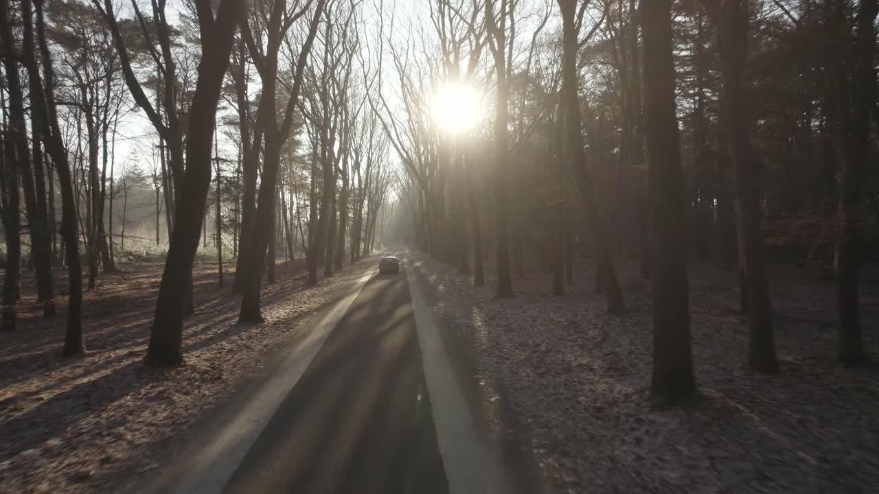 drone volando rápido siguiendo a un automóvil conduciendo por una carretera en el bosque con el sol emitiendo rayos entre los árboles en los países bajos en 4k