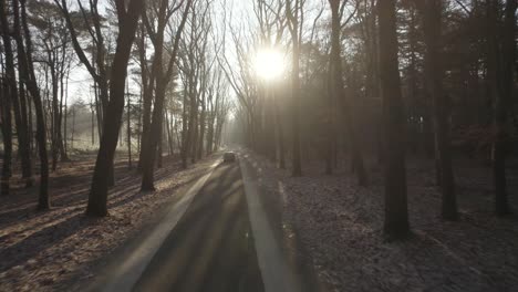 drone flying fast following a car driving on a road in the forest with the sun casting rays between the trees in the netherlands in 4k