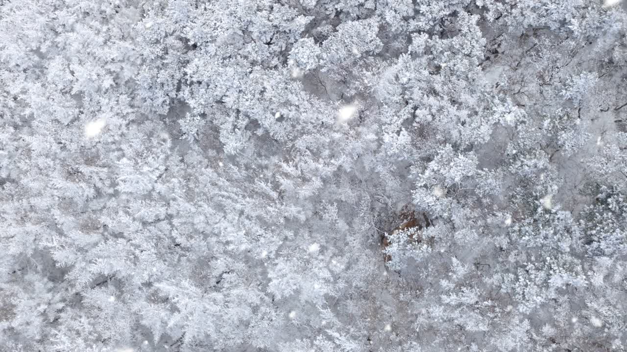 In inverno, cadono i fiocchi di neve e le montagne si ricoprono di bianco. La fotografia aerea cattura lo splendido scenario delle montagne in inverno.