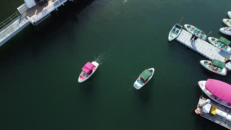 aerial view of pedal boats in san diego