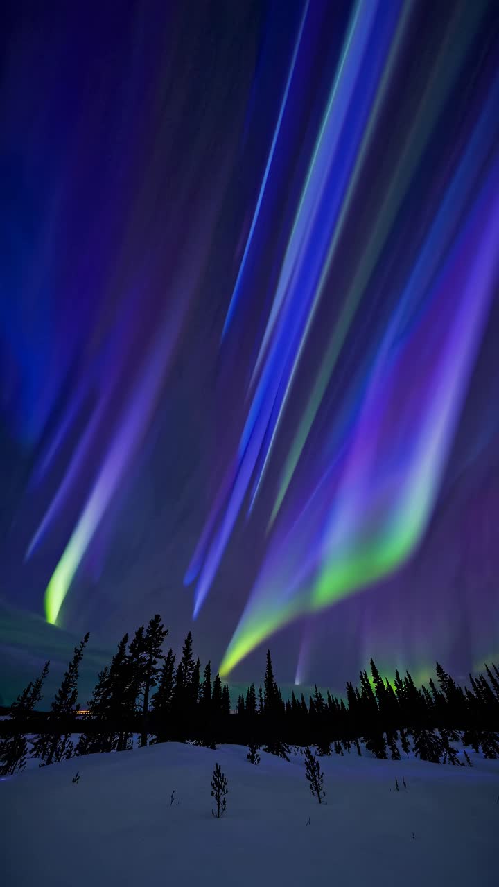 A mesmerizing low-angle shot of vibrant auroras dancing over a snowy forest, resembling a surreal