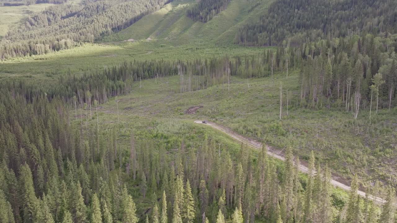 un camión sin piloto rodeando un vasto bosque de pinos cerca del parque nacional banff y yoho en canadá bajo un cielo parcialmente nublado.