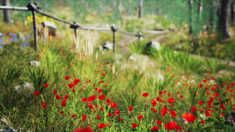 campos de hierba y árboles forestales