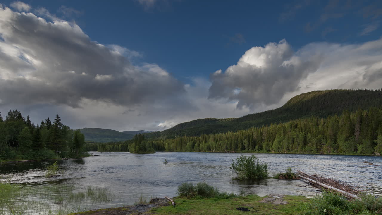 noruega rápidos helecho 4k 06