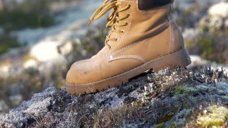 slomo close-up of beige hiking boots stepping on mossy stone in forest