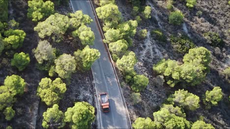 Top-view-of-a-narrow-road-in-the-beautiful-forest-in-Agia-Marina,-Aigina