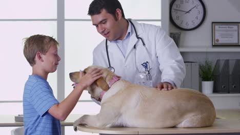vet gives boys' dog a checkup