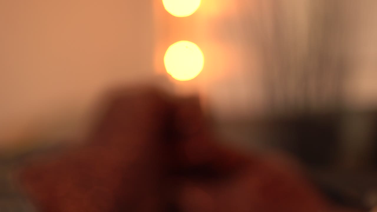 Plants In a Living Room Decor