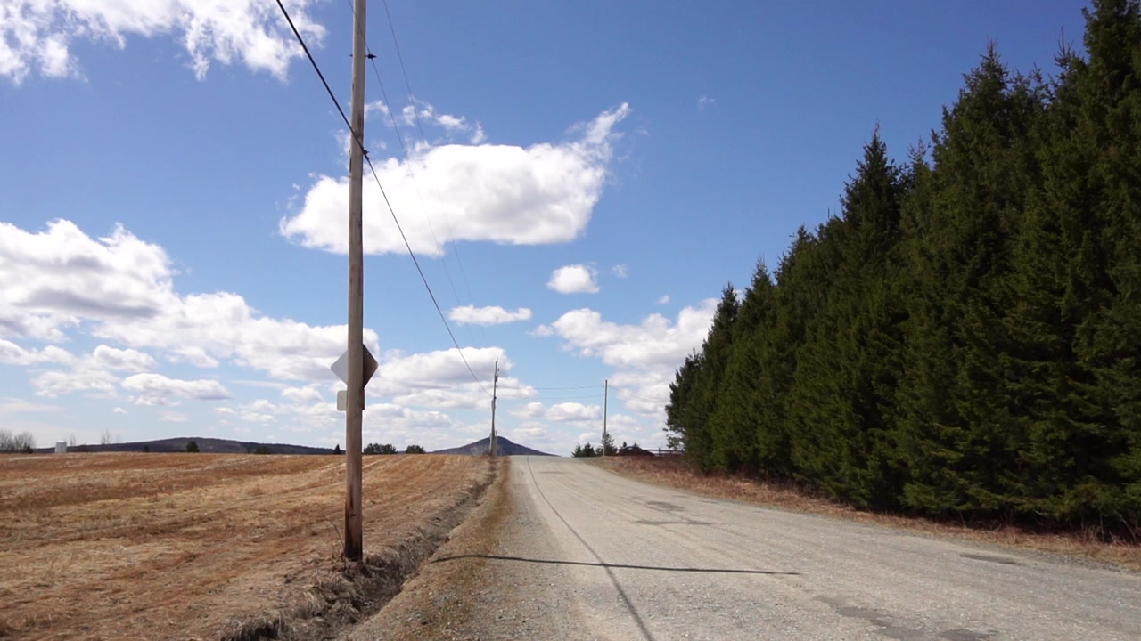 Eine perspektivische Aufnahme aus der Froschperspektive einer ländlichen Schotterstraße, gesäumt von einem dichten Nadelwald und einem kargen Feld. Klarer blauer Himmel mit Kumuluswolken, hölzerne Strommasten und entfernte Hügel.
