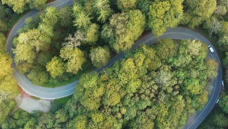 Travel-time-in-the-fall-season,-drone-footage-as-top-down-shot-at-a-double-curve-under-sunshine-with-a-driving-car