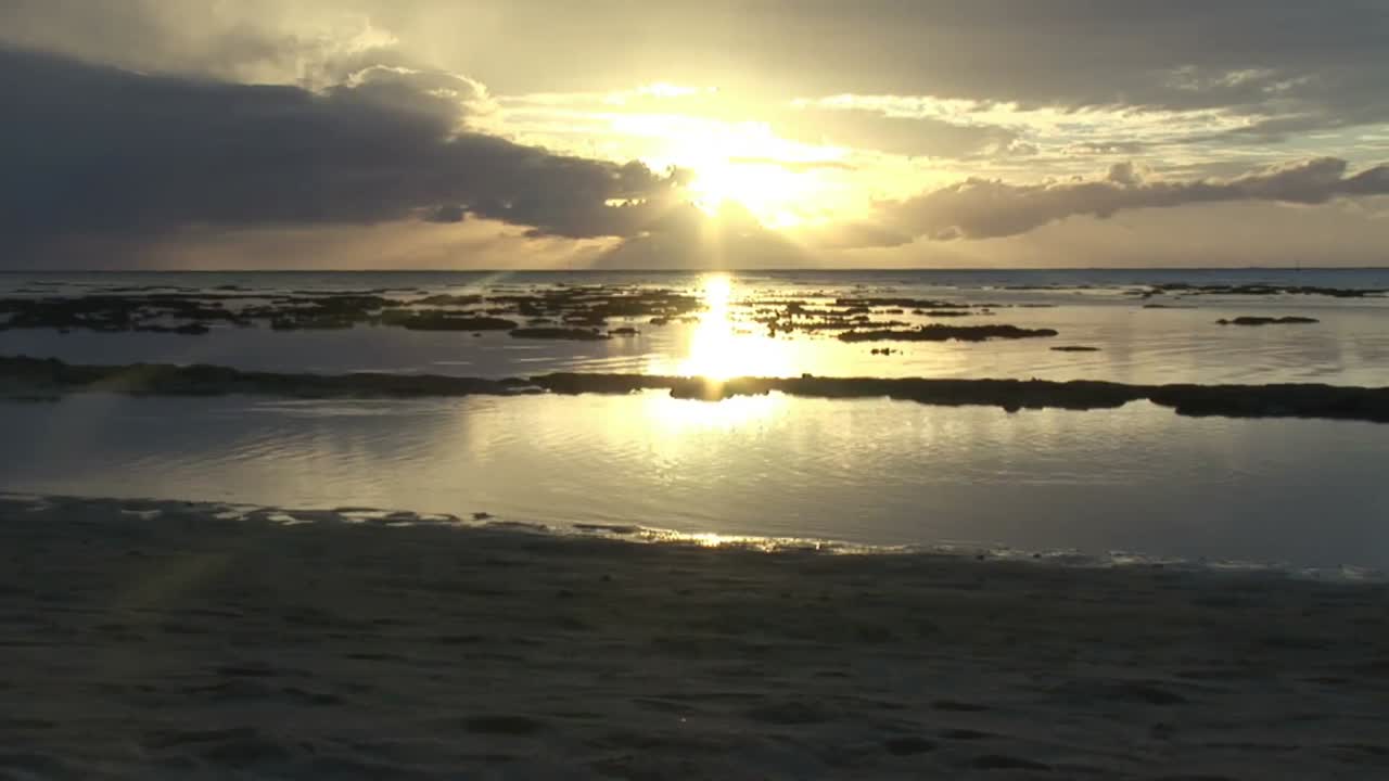 스 ⁇  영상 낙원